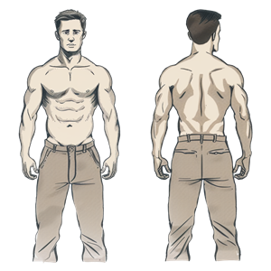 Athletic Body Type