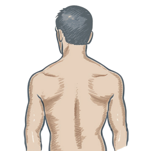 Normal Shoulder