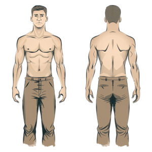 Regular Body Type